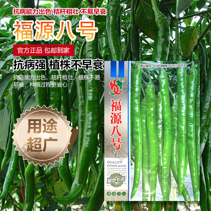 福源八号长线椒种子早熟高产抗病蔬菜种子/种苗