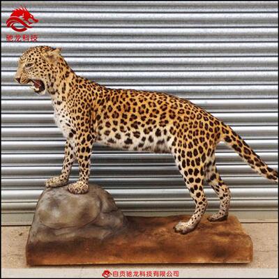 大型仿真动物装置斑马模型橡胶电动软体动物雕塑大型仿生可动机模
