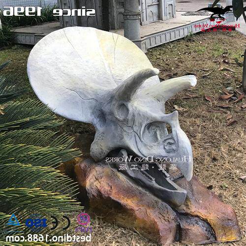 仿真恐龙玻璃钢模型制作工厂三角龙头骨化石骨架科普展览收藏
