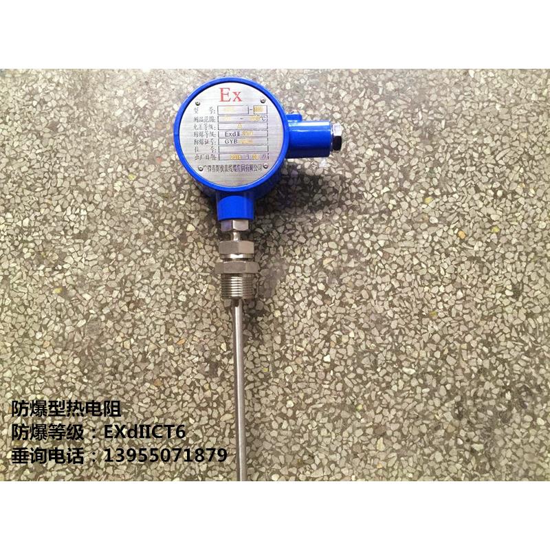 防爆铂热电阻温度计PT100温度传感器wzp-231/245电偶温度变送器