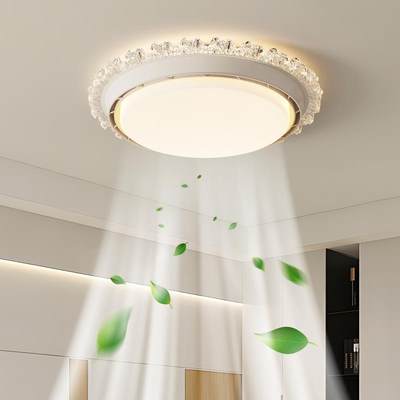 现代简约吊扇灯卧室灯圆形吸顶灯极简个性静音隐形涡轮无叶吊扇灯