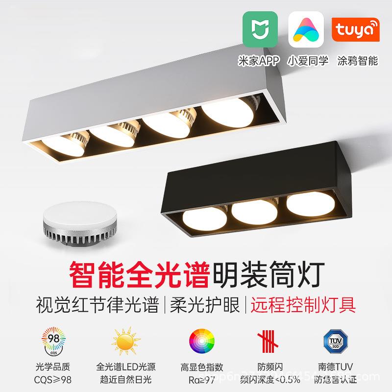 明装筒灯极简客厅无主灯照明方形盒子灯斗胆灯led格栅灯吸顶