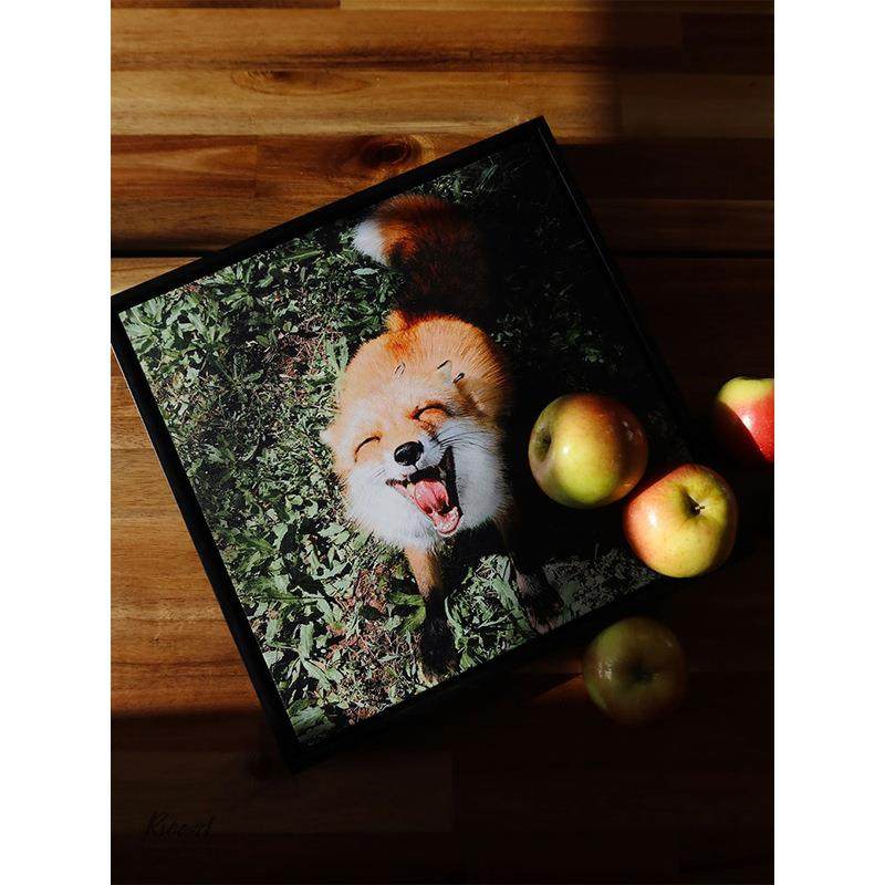 犀牛艺廊Fox系列久等啦！《Smile》含框可爱动物客厅儿童房装饰画,橡塑材料及制品,亚克力管/有机玻璃管,淘宝优惠券,粉丝福利购,淘宝优惠卷