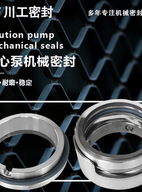 机械密封形式 ASP5030-80-160\SD80-5/48 耐强腐蚀机械密封