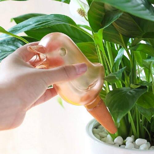 极速12 Pcs Birid Shape Clear Plant Waterer Clear Self Wateri