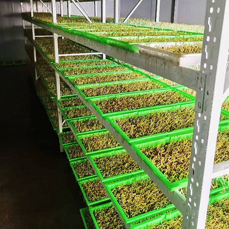 极速仓库货架置物架展示架组合中型多层家用库房V仓储货物架铁架