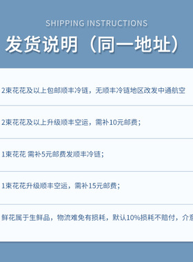 极速梦金鹏A级海洋之歌紫色玫瑰鲜花G云南斗南市场基地直发水培顺