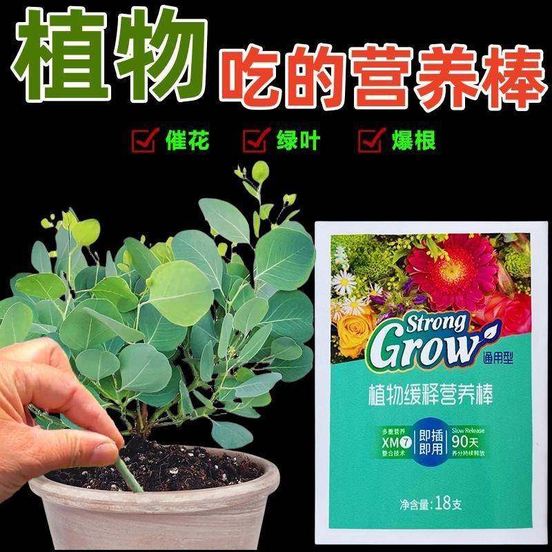极速植物营养棒绿植肥缓释棒营养棒花肥料家用Q养花通用型盆栽植,鲜花速递/花卉仿真/绿植园艺,家庭园艺肥料,淘宝优惠券,粉丝福利购,淘宝优惠卷