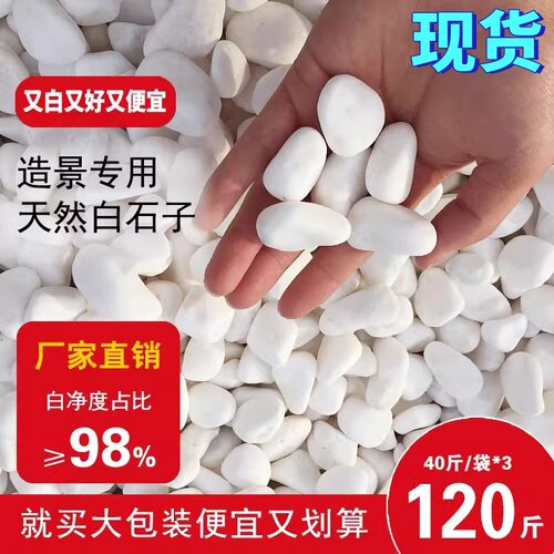 白色石子铺地铺路庭院造景石子小白石头白石子大鹅卵石景观50斤装