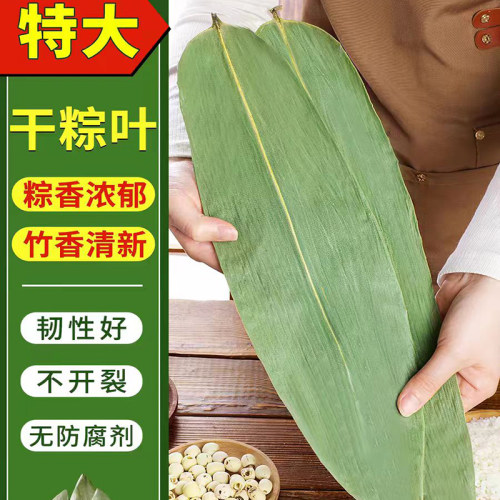 野生大粽叶干粽叶天然粽子叶大号麻竹叶端午节包粽子专用鲜叶子