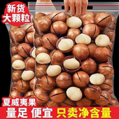 新货夏威夷果大颗粒坚果零食袋装 净含量足量大实惠干果年货整箱