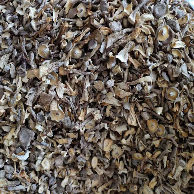 鹿茸菇碎片天然无硫馅料香菇煲汤