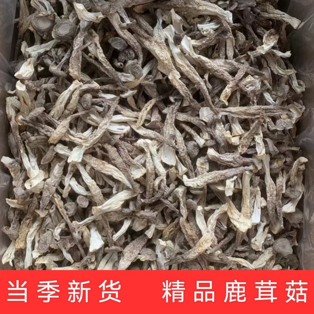 鹿茸菇500g干货包邮脆脆菇鹿茸菌新鲜云南菌子鹿茸姑香菇蘑菇