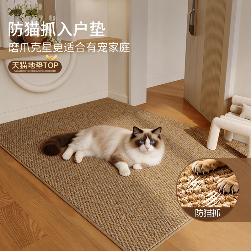 仿剑麻防猫抓入户门地垫耐脏可机洗中古风进门地毯可裁剪门口门垫