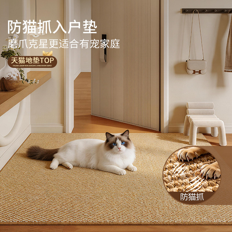 仿剑麻防猫抓入户门地垫耐脏可机洗中古风进门地毯可裁剪门口门垫