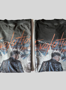 谢霆锋2025年演唱会Evolution洗水黑洗水灰重磅同款周边纪念T恤