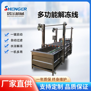 水浴式冻肉化冻节能设备连续式鸡肝儿解冻流水线猪肉冻盘解冻机