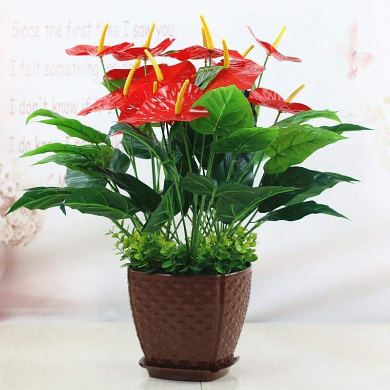 真假花草绿植红掌假花客厅装饰绿植物落地假花盆栽摆设舞台盆景