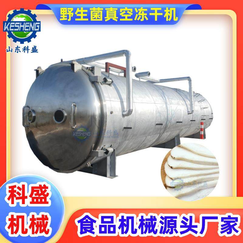 松茸真空冻干机 野生菌羊肚菌低温冷冻干燥机 鸡胸肉FD冻干机