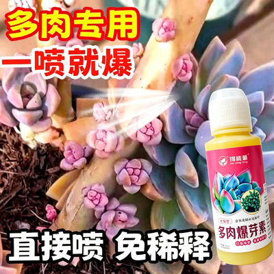 优芽素爆芽素直喷多肉专用生根催芽爆芽王生长营养液侧芽矮胖通用