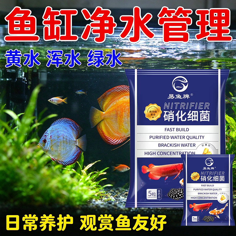硝化细菌胶囊小包装 鱼缸水体养护 分解残饵粪便观赏鱼养鱼用品