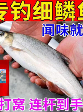 雅鱼饵料野钓黑坑通细鳞裂腹鱼用饵料不空军超诱鱼食剂鱼饵料