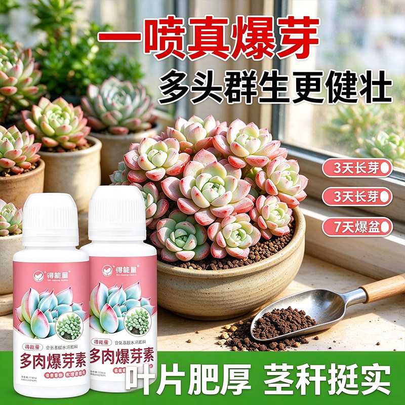氨基酸多肉爆芽素促芽分枝改善单头多肉轻松爆盆