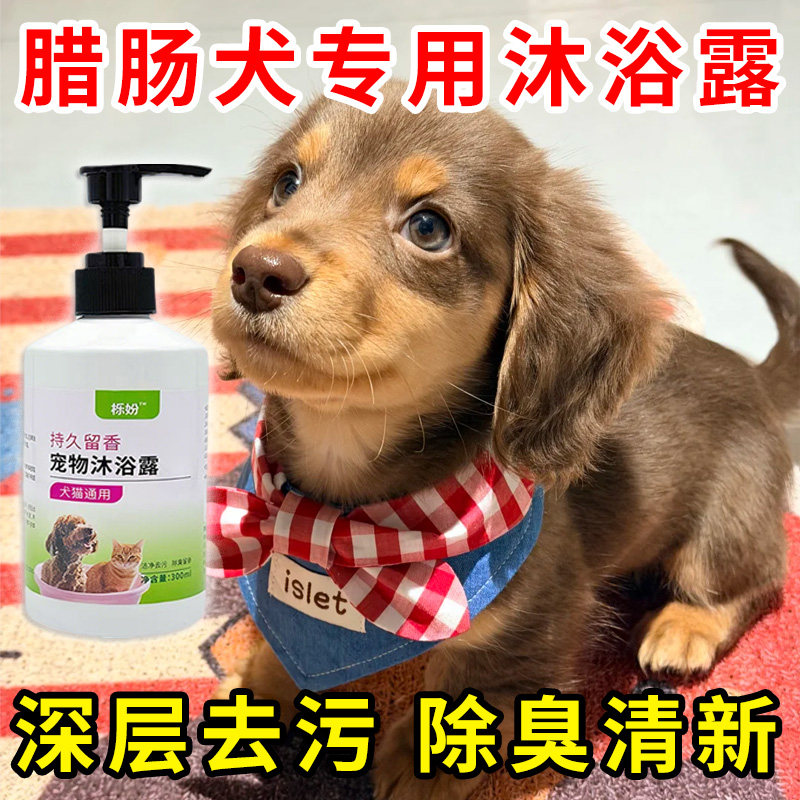 腊肠犬专用沐浴露亮白去黄狗狗白毛犬沐浴液宠物狗清洁用品香波