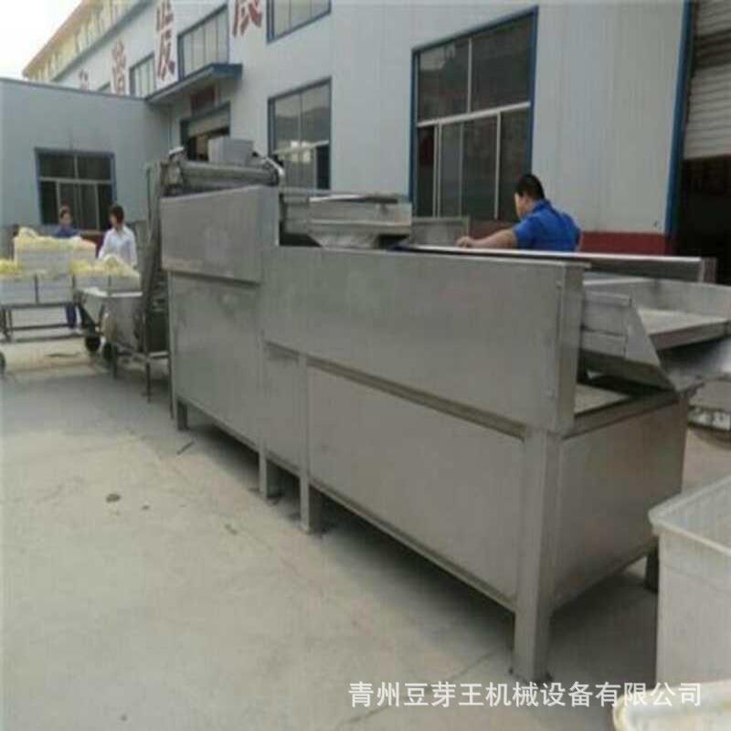 商用豆芽脱皮机双层黄豆芽去壳机绿豆芽去皮机复式豆芽振动筛