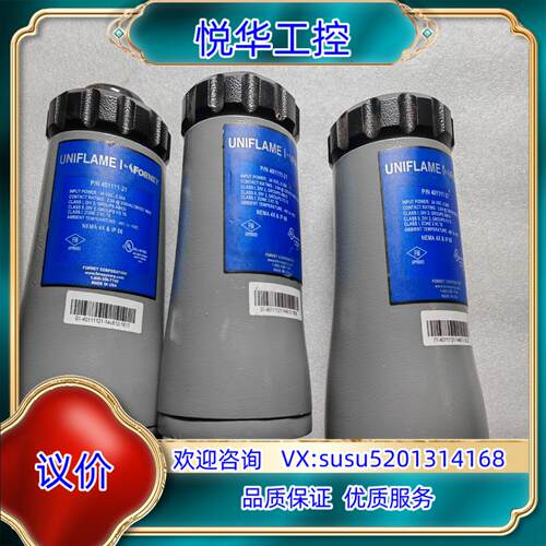 原装401111-21 原产 FORNEY 火检传感器 全新询价