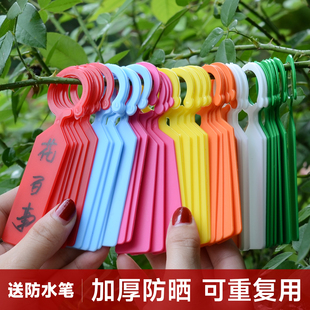 园艺标签插牌吊牌防水环扣植物挂牌标识卡塑料加厚多肉小标签工具