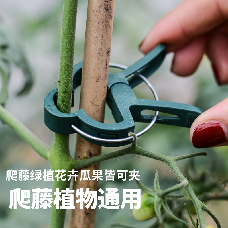 爬藤植物固定夹大号绿色卡扣蔬菜番茄花卉瓜果枝条藤蔓固定夹扣子