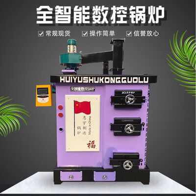 养殖数控锅炉家庭别墅取暖洗浴中心燃煤锅炉小型工厂供暖锅炉