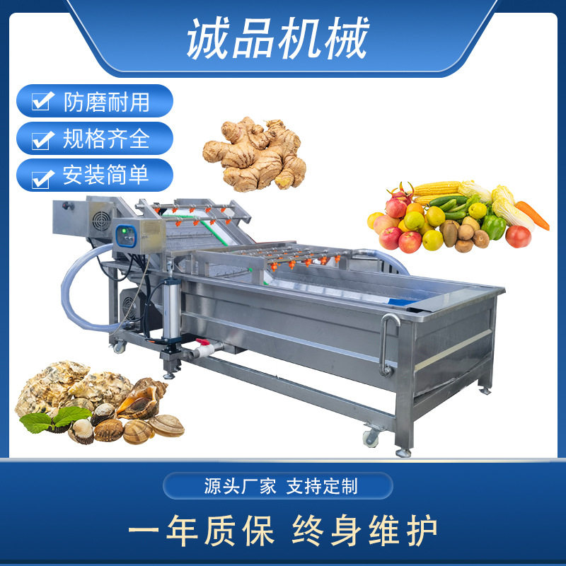 连续式全自动果蔬气泡清洗机