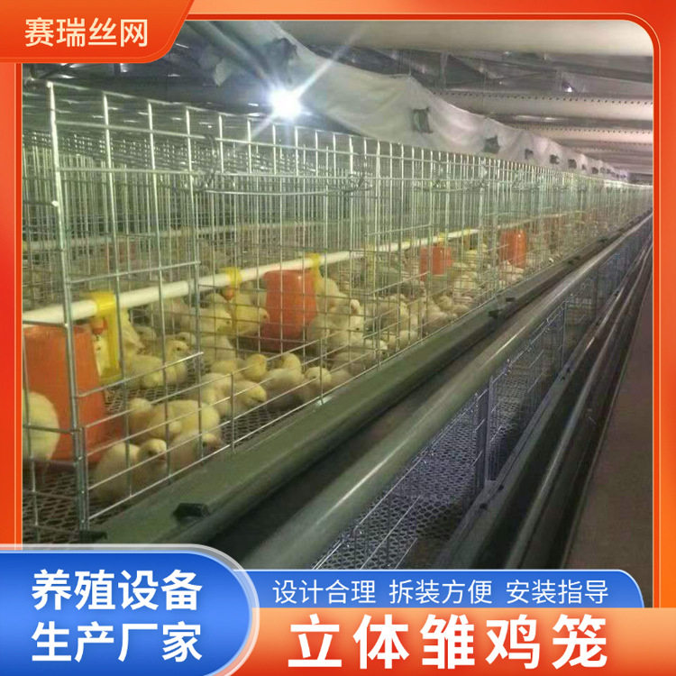 养殖场育鸡小鸡笼鸡舍立式四层小鸡育雏鸡笼幼鸡养鸡笼养殖设备