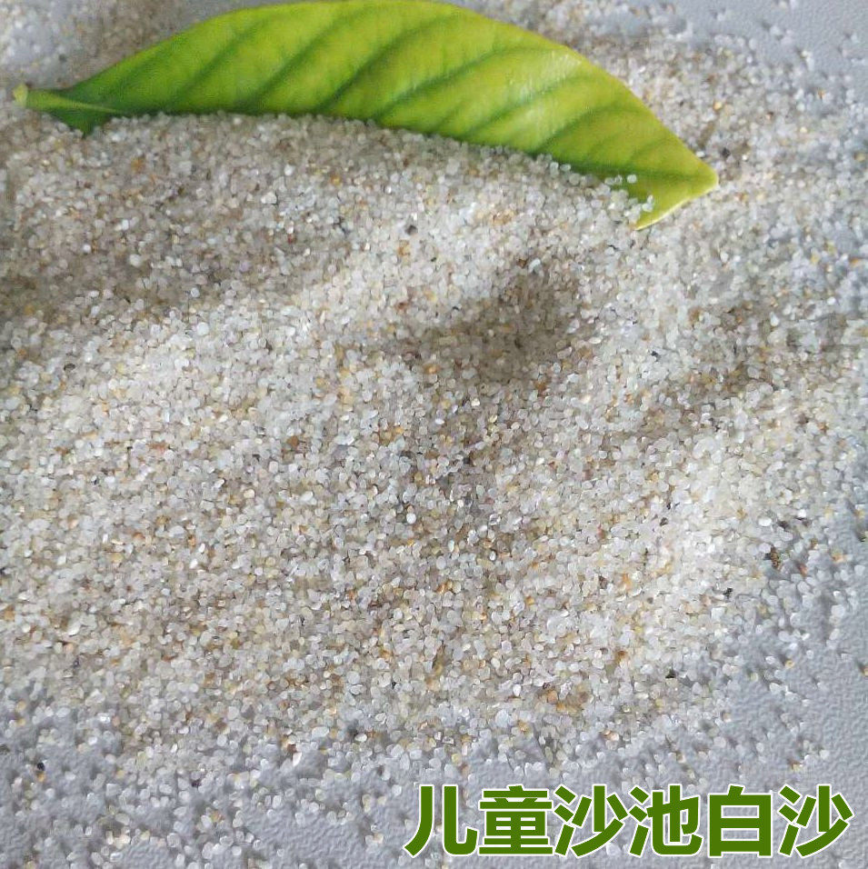 海沙儿水洗干净圆粒沙泰州幼儿园学校跳远沙坑水洗白沙子