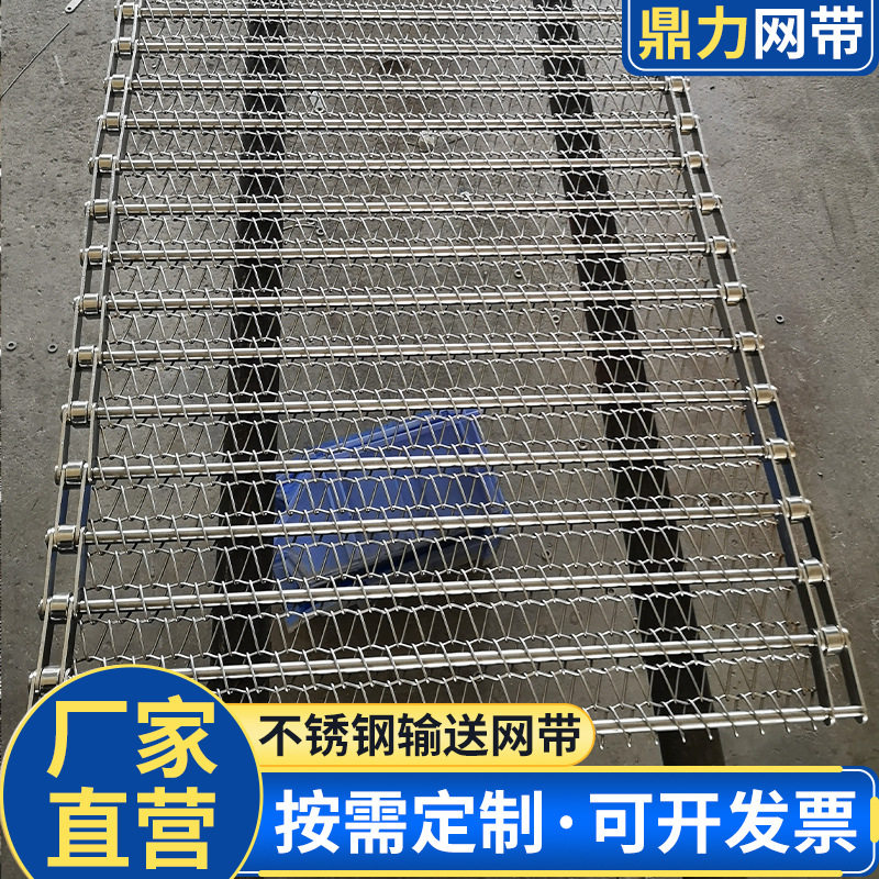 加密不锈钢鱼类糕饼烘干输送带