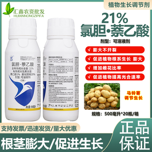 大鹏21%氯化胆碱萘乙酸地下膨大调节剂马铃薯 块根膨大防早衰农药