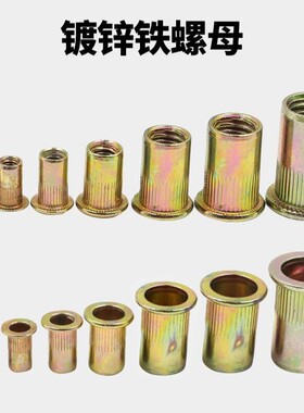 120pcs/170pcs/220pcs平头竖纹镀彩锌钢铆螺母m3-m12套装