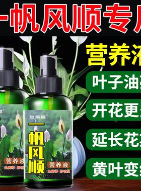 红掌专用肥料一帆风顺营养液白掌水培盆栽养花黑水家用花氮磷钾肥