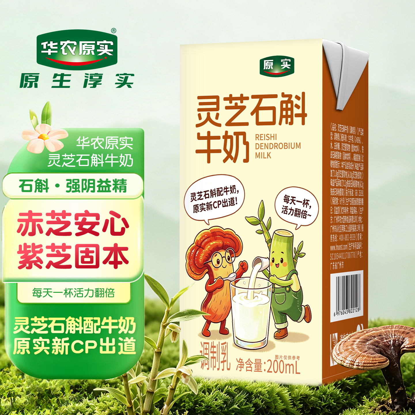 华农原实灵芝石斛牛奶200ml盒*10瓶装营养早餐奶补钙饮品