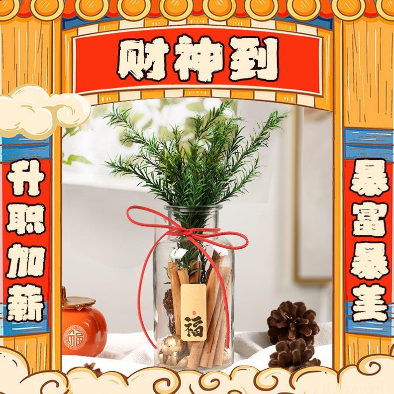 肉桂生财发财瓶子摆件招财玻璃瓶diy材料车载车挂送女友搬家用