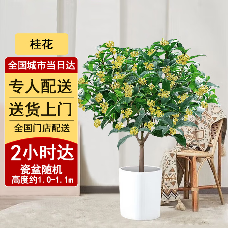 同城配送，两小时达