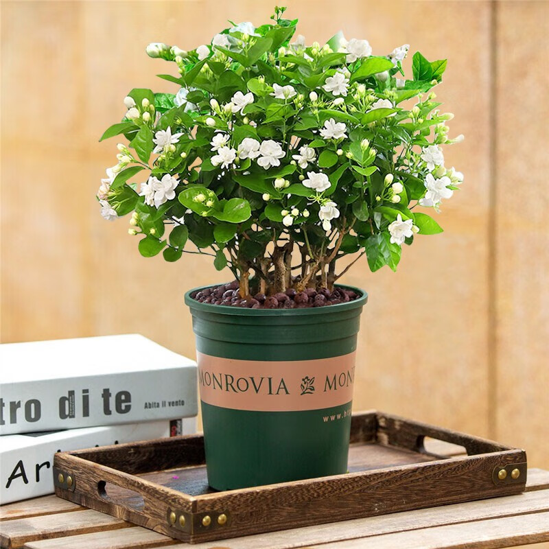 同城配送，两小时达