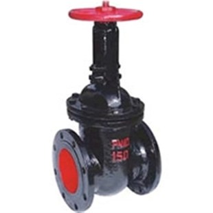 平行式 双闸板闸阀. Z44T