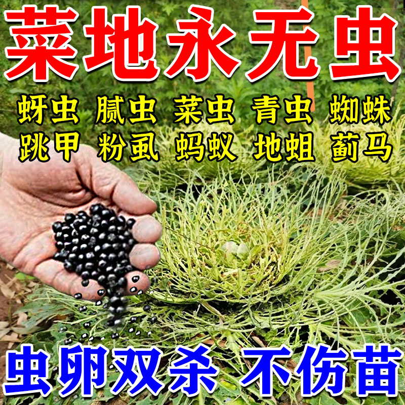 土壤除虫专用撒施型清除菌颗粒药