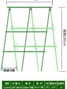 厂销枝晓 黄瓜爬藤支架架子架杆植物阳台丝瓜蔬菜豆角菜园品 种菜