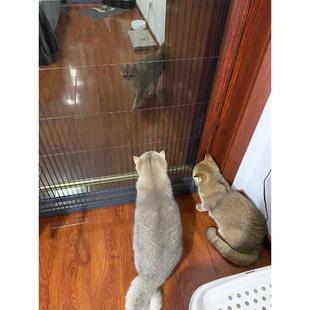 伸缩养猫拦猫纱门 防猫门帘猫抓围栏封窗跳窗网折叠纱窗推拉式