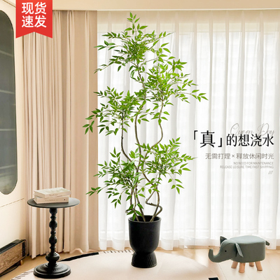 极速仿真植物南天竹轻奢落地大型盆栽室J内客厅沙发旁仿生植物装