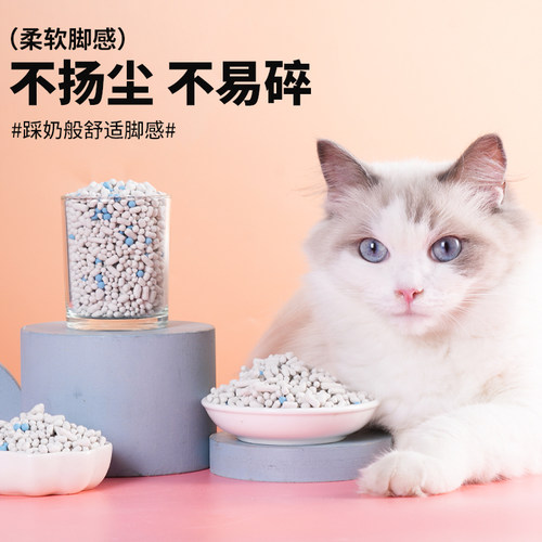 真无尘超强除臭木薯竹炭除臭茵子